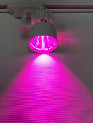 Трековий світлодіодний фітосвітильник SL-4003F 20W (full spectrum led) білий Код.59088, фото 1