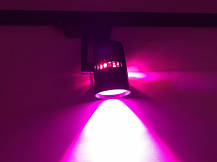 Трековий світлодіодний фітосвітильник SL-4003F 20W 12-24V DC (full spectrum led) чорний Код.59580, фото 5