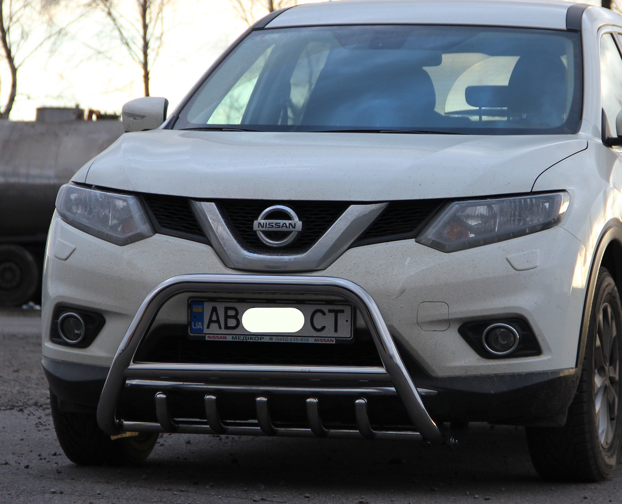 Кенгурник на Nissan X-Trail Rogue (c 2013---), фото 1