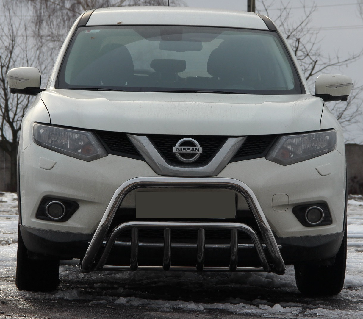 Кенгурник на Nissan Rogue (c 2013----), фото 1