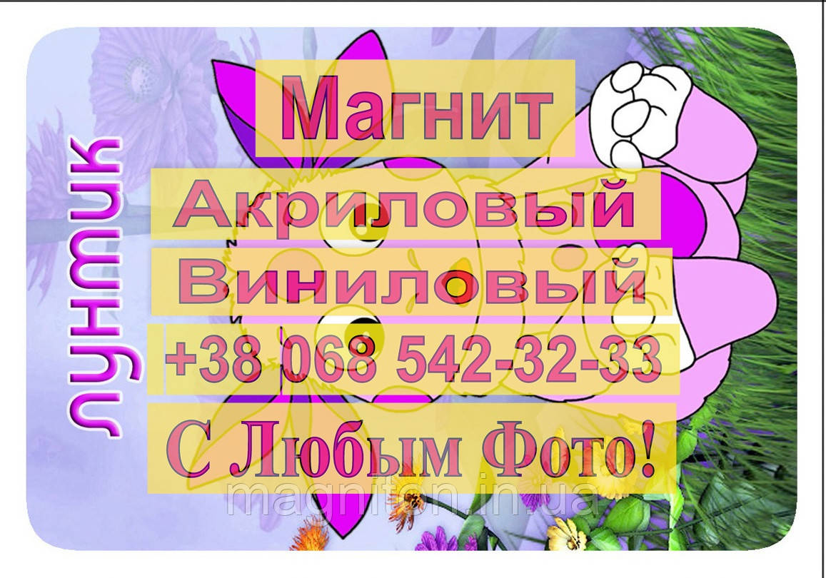 Магніти Дитячі ЛУНТИК 1