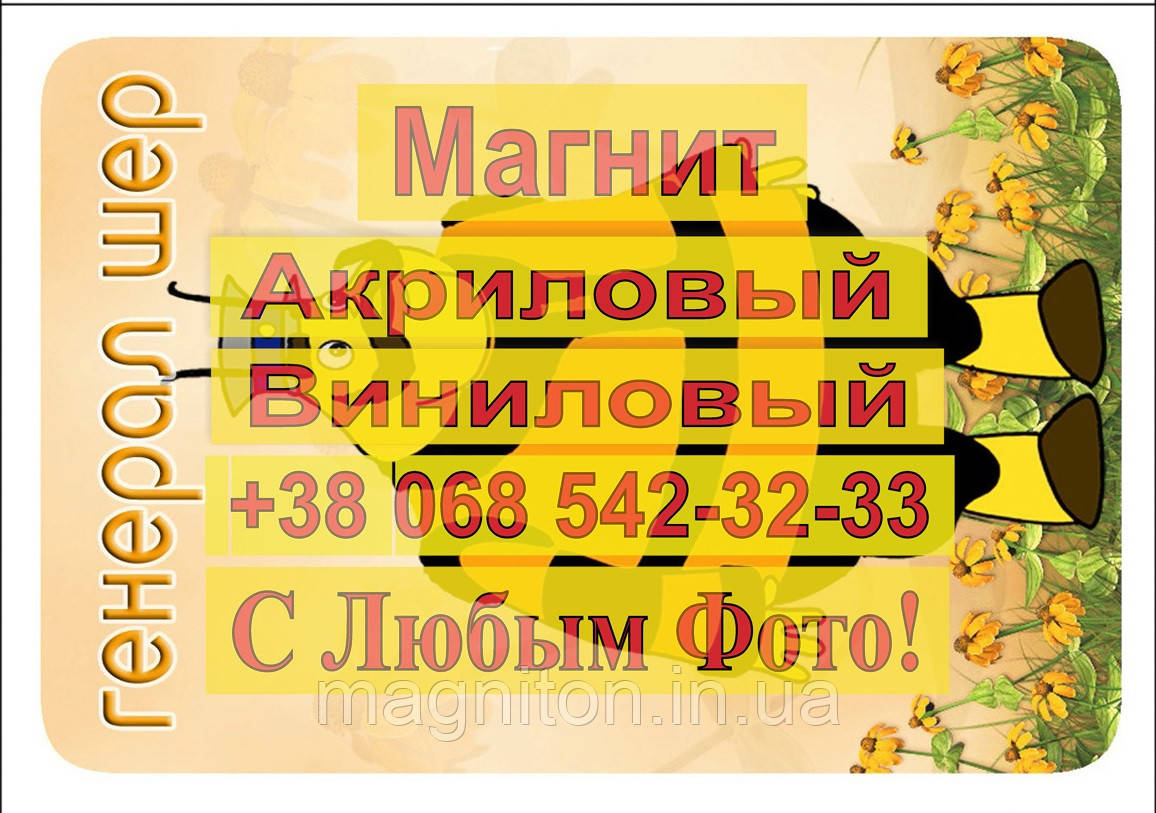 Магніти Дитячі ЛУНТИК 3