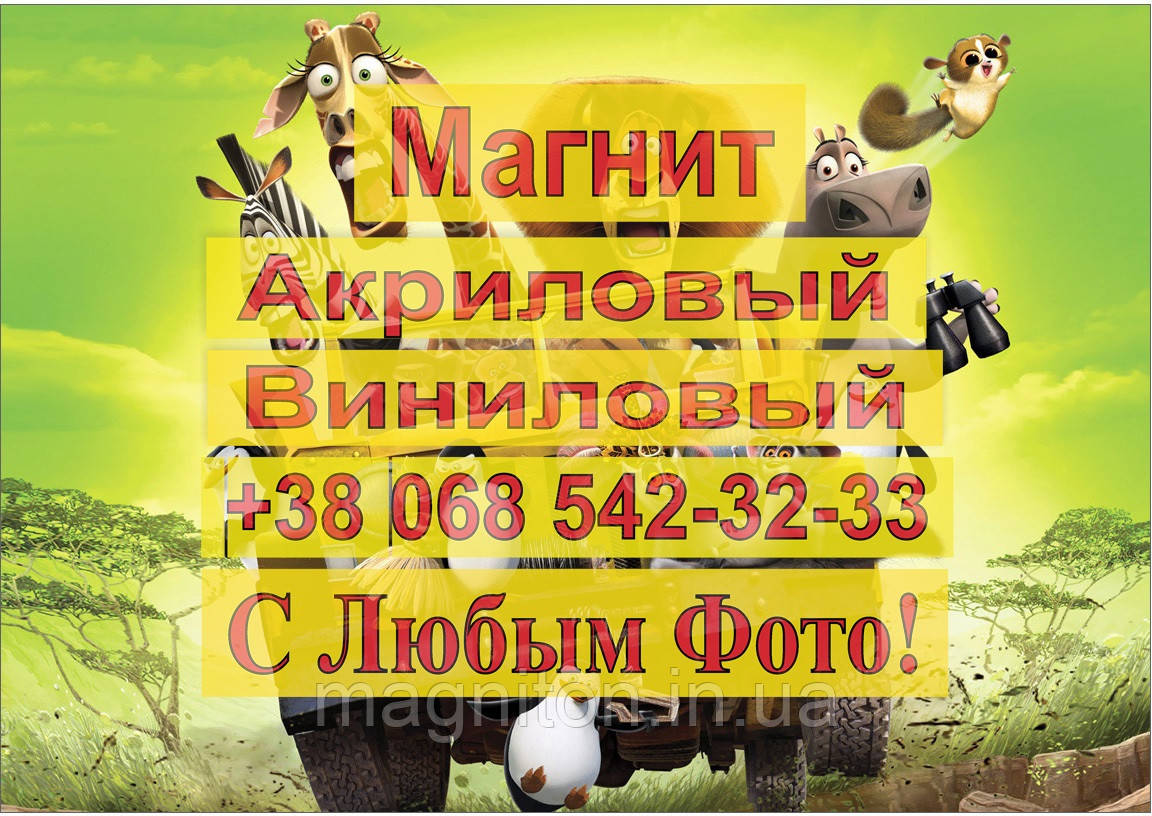 Магніти Дитячі МАДАГАСКАР 1