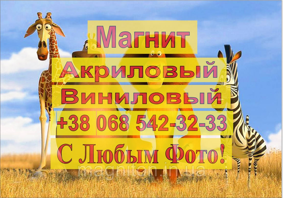 Магніти Дитячі МАДАГАСКАР 2