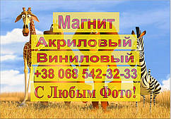 Магніти Дитячі МАДАГАСКАР 2