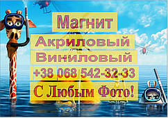 Магніти Дитячі МАДАГАСКАР 3