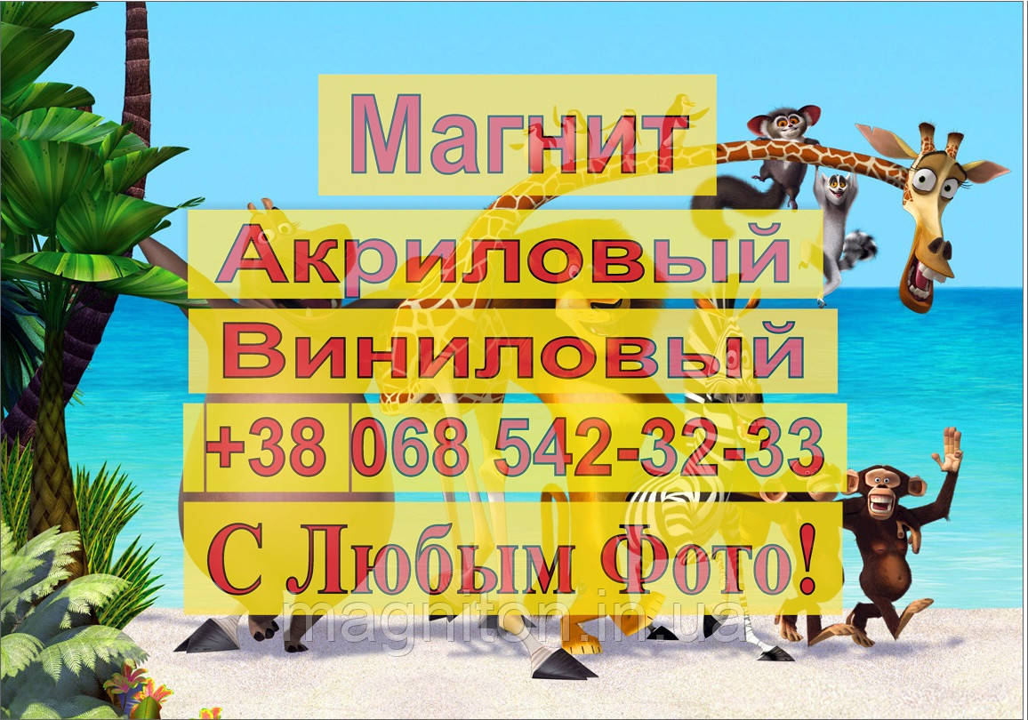 Магніти Дитячі МАДАГАСКАР 5