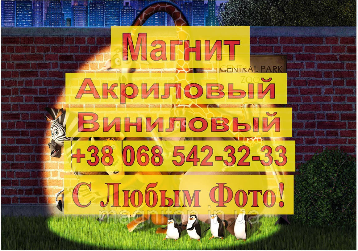 Магніти Дитячі МАДАГАСКАР 6