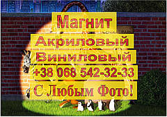 Магніти Дитячі МАДАГАСКАР 6