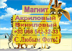 Магніти Дитячі МАДАГАСКАР 7