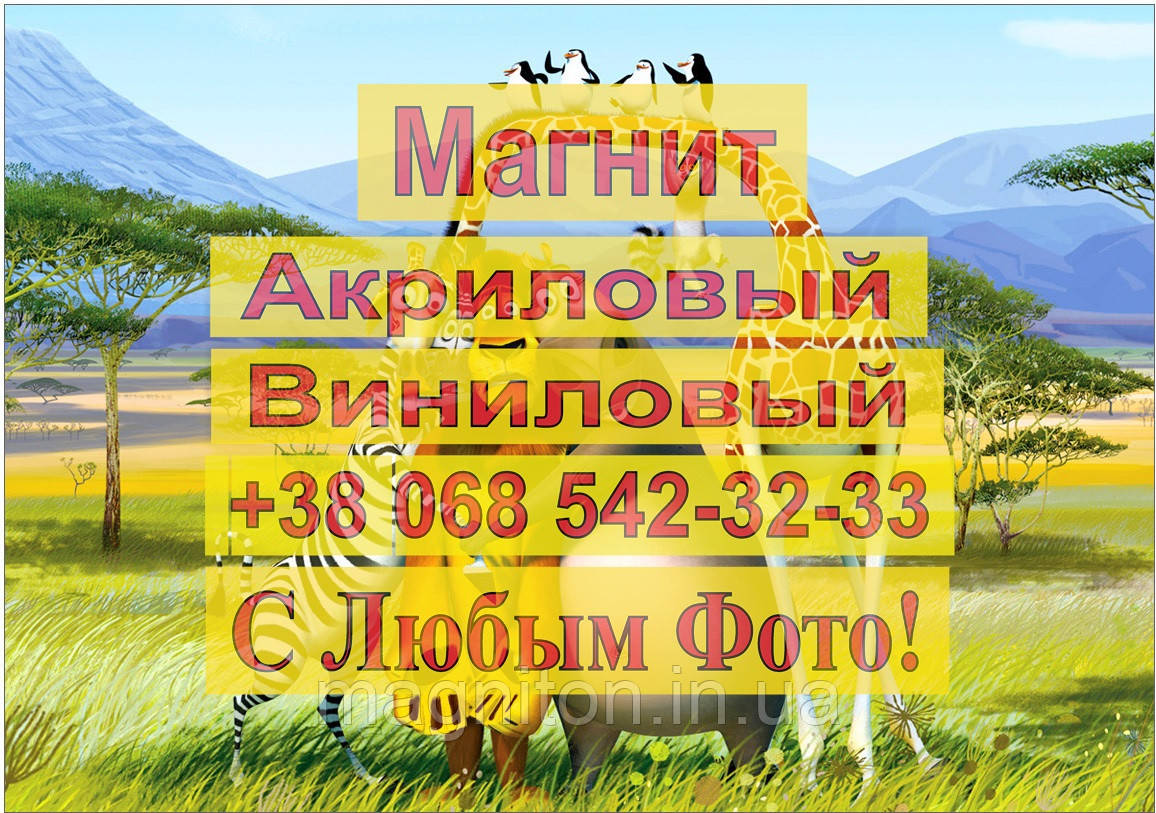 Магніти Дитячі МАДАГАСКАР 8