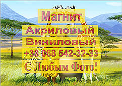 Магніти Дитячі МАДАГАСКАР 8