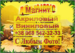 Магніти Дитячі МАДАГАСКАР 9