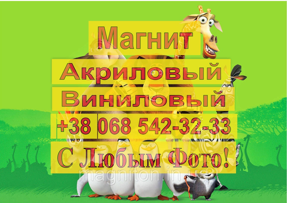 Магніти Дитячі МАДАГАСКАР 10