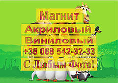 Магніти Дитячі МАДАГАСКАР 10