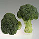 Насіння капусти броколі Грін меджик F1/Green Magic F1 1000 насіння Sakata, фото 2
