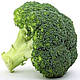 Насіння капусти броколі Маратон F1/Maraton F1, 1000 насіння, Sakata, фото 2