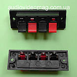 Гнізда-затискачі акустичні, на 4 контакти, фото 2