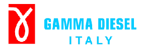 Плунжерні пари Gamma Diesel