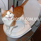 Набір для привчання кішок до унітаза — CitiKitty Cat Toilet Training kit, фото 5