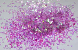 Ромбики для дизайну нігтів «Прозоро-бузкові»