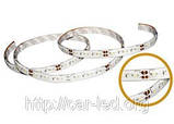 Белая  6,0W SMD3528 (60 LED/м) (w) 7120-7550K Outdoor IP65 Rishang Premium, фото 4