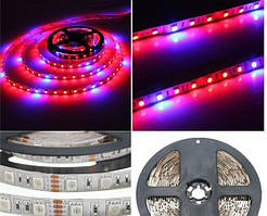 Світлодіодна фітострічка SMD 5050 (60 LED/m) IP20 Premium