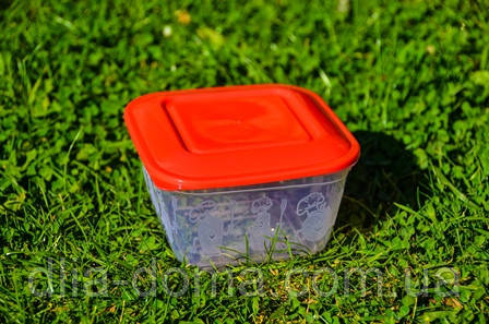 ЕМКОСТЬ 1Л, фото 1