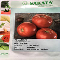 Насіння томату Белла Роса F1/SAKATA, 1000 сем. — детермінантний, салатний, великоплідний, фото 3