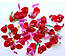Пневматична хлопавка "Троянди" 50 див. (наповнення - пелюстки троянд), фото 2