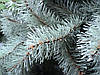 Блакитна хвойна гірлянда (ель) 200х23 см, фото 3