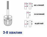 Експрес-тест на метадон, фото 2
