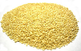 Кунжут білий