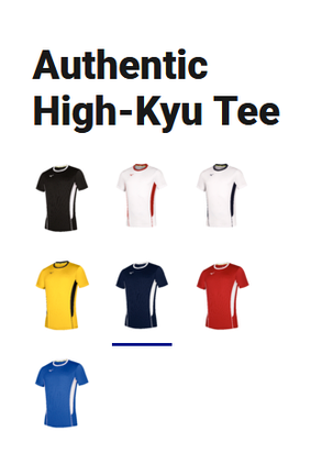 Футболка волейбольна Mizuno Authentic High-Kyu Tee V2EA7001-71, фото 2