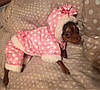 Комбінезон зимовий для собаки, костюм "Принцеса". Одяг для собак, фото 9