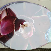 Кришка для унітаза