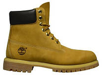 Чоловічі кросівки Черевики Timberland Premium 6 10061