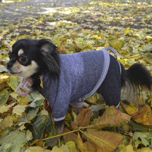 Костюм Pet Fashion Гранд S (27-30 см) для собак