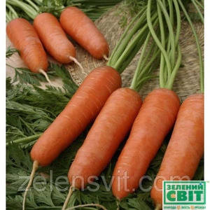 Насіння моркви Каріні 50 г (Бейо/Bejo) — рання сортова (100 днів), тип Курода, фото 2