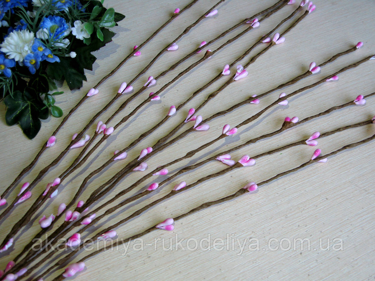 Веточки вербы (ивы) с почками. Розовый 37 см - 1 шт: продажа, цена в ...