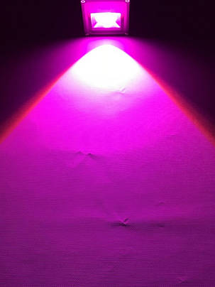 Світлодіодний лінзований фітопрожектор SL-10GLens 10W IP65 (full fito spectrum led) Код.59096, фото 1