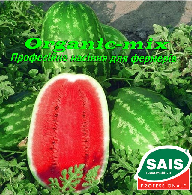 АРРИБА F1 / ARRIBA F1