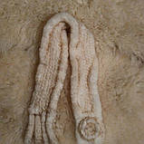 Шарф із хутра норки білий, фото 2