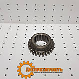 Шестірня 1-й першої передачі КПП ЮМЗ тягова (твердість 56 одиниць) 40-1701054, фото 3