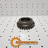 Шестірня 1-й першої передачі КПП ЮМЗ тягова (твердість 56 одиниць) 40-1701054, фото 4