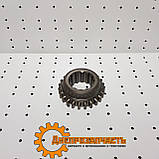 Шестірня 1-й першої передачі КПП ЮМЗ тягова (твердість 56 одиниць) 40-1701054, фото 5