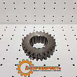 Шестірня 1-й першої передачі КПП ЮМЗ тягова (твердість 56 одиниць) 40-1701054, фото 6