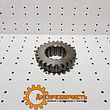Шестірня 1-й першої передачі КПП ЮМЗ тягова (твердість 56 одиниць) 40-1701054, фото 8