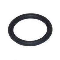 8700205127 Кільце гумове ZW23KE Bosch, Junkers