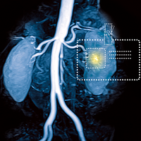 Екстракти грибів